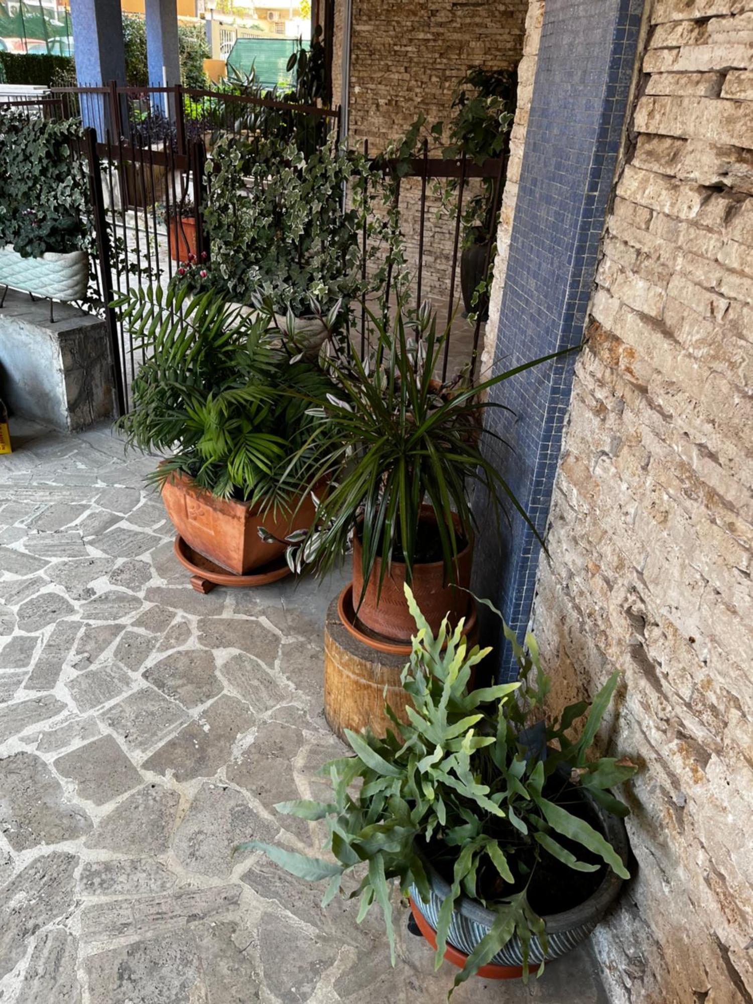Casetta Romana Extérieur photo
