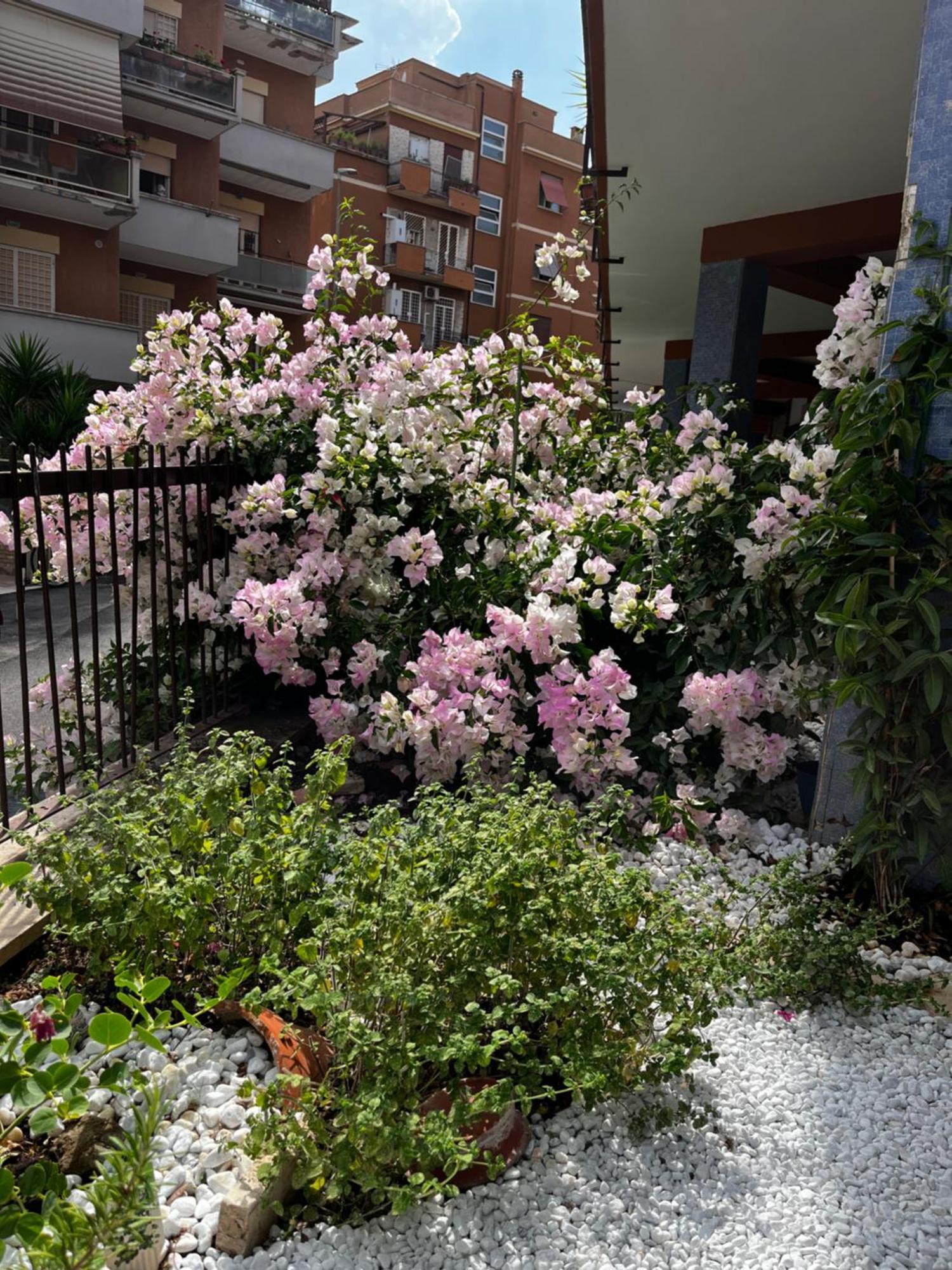Casetta Romana Extérieur photo